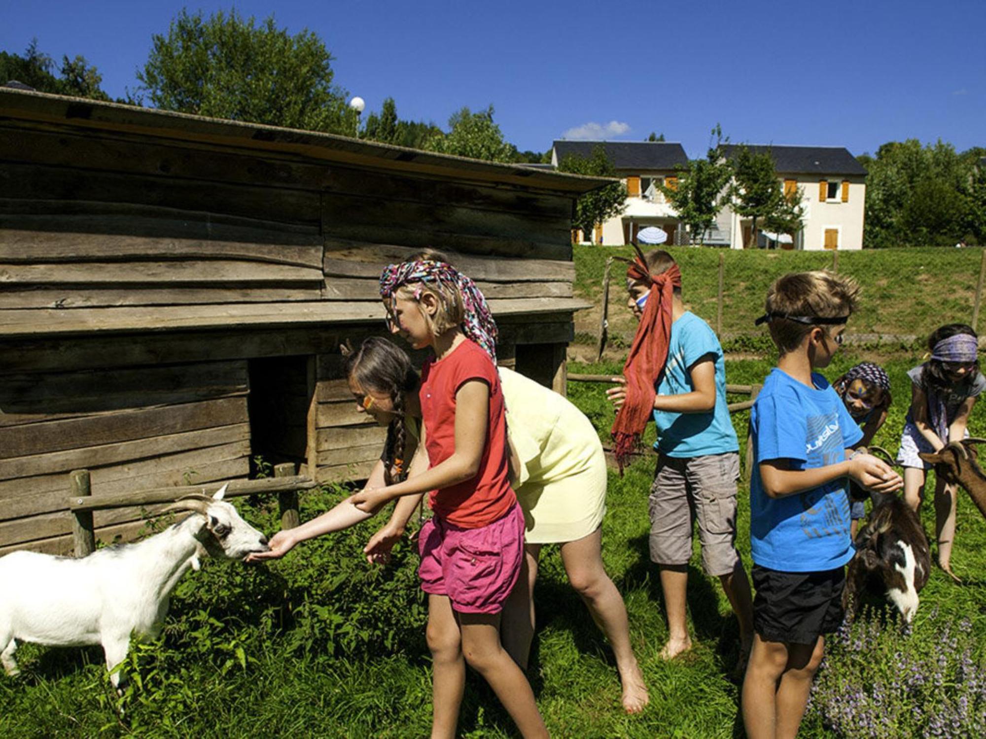 La Maison Bleue, Village Vacances, Piscine, Parking แซงต์-เชอนีส-ดอลต์ ภายนอก รูปภาพ