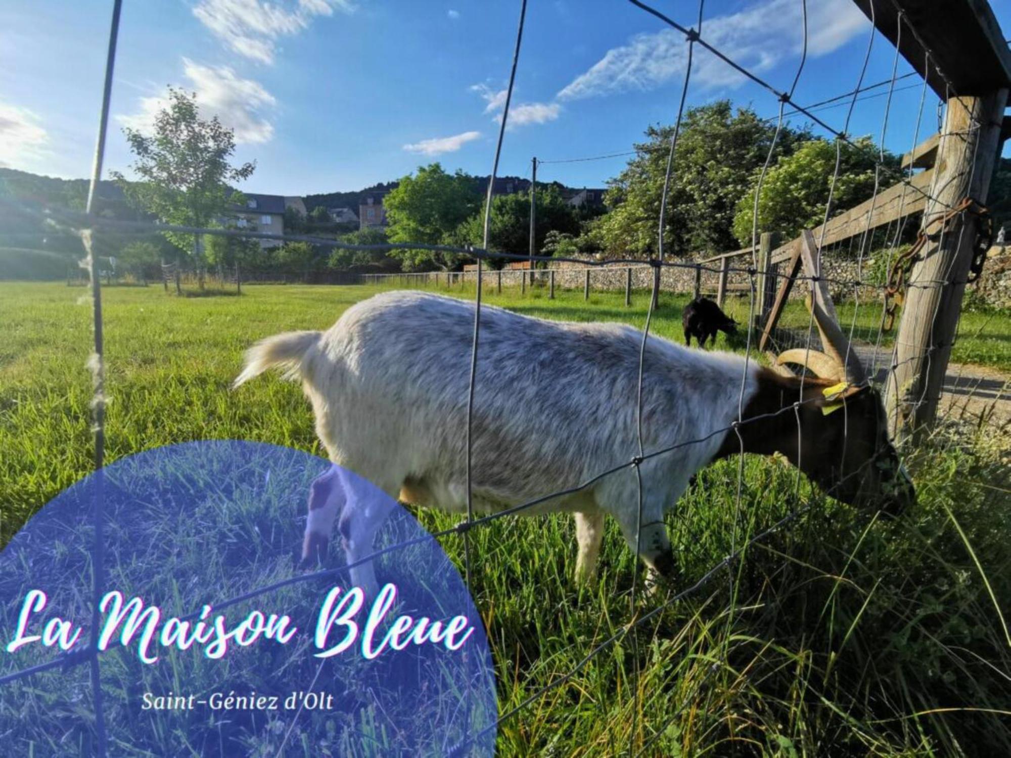 La Maison Bleue, Village Vacances, Piscine, Parking แซงต์-เชอนีส-ดอลต์ ภายนอก รูปภาพ
